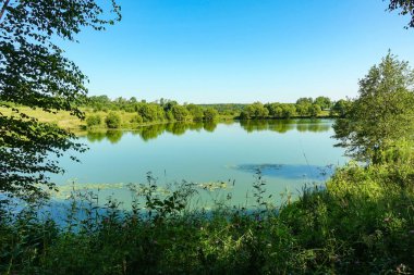 Sahilde güneşli bir ormanı olan bir orman gölü. Moskova bölgesi, Rusya.