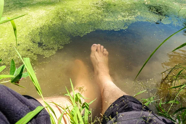 A man lowered his feet into a forest lake with green duckweed
