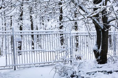 Kış. Kar arabaları kaplıyor. Rusya