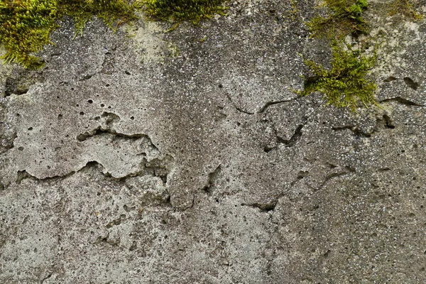 被苔藓覆盖的摇摇欲坠的混凝土墙 设计的石材背景 — 图库照片