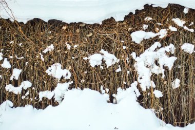Kar yağdıktan sonraki kış günü çitler karla kaplıydı. Kış mevsimi, soğuk hava konsepti. Kırsal tarzda güzel bir kış arkaplanı