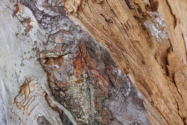 Textura Madeira Velha Rachada Superfície Rachada Material Log Seco Madeira — Fotografia de Stock