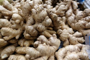 Taze organik zencefil taze Tayland piyasada