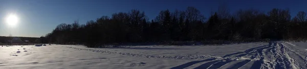 Панорамний Постріл Зимове Снігове Поле Лісом Нижнє Зимове Сонце Росія — стокове фото