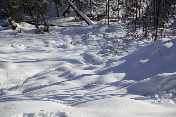 森林里的冬天这棵树被雪覆盖着 美丽的冬季风景 — 图库照片