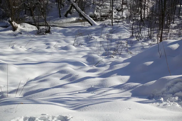 Invierno Bosque Árbol Está Cubierto Nieve Hermoso Paisaje Invierno — Foto de Stock