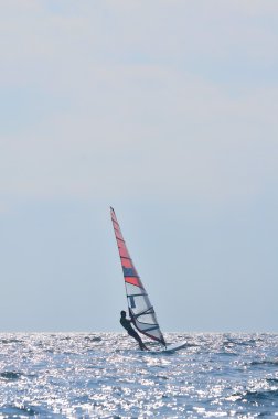 windsurf yarışı