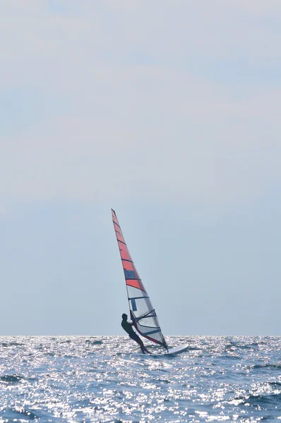 Windsurf race — Stockfoto