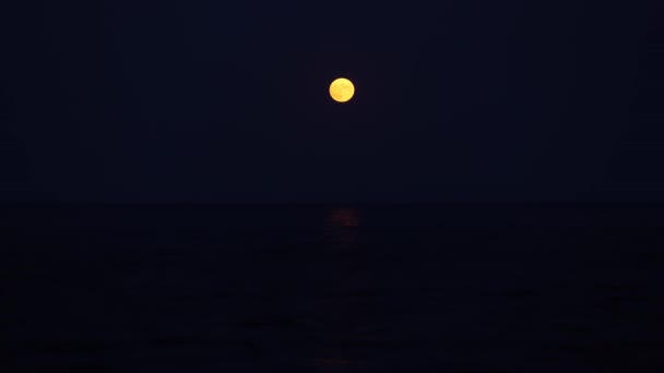 Лунный Путь Низкой Луной Над Морем Полнолуние Над Водой — стоковое видео