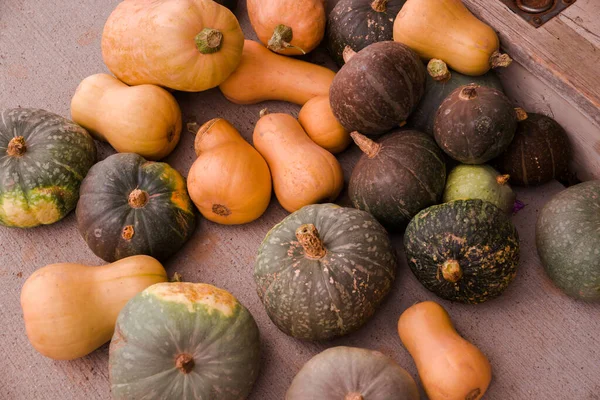 Vendemmia Sfondo Zucche Colori Autunno Stagione Arancione Halloween Giorno Del — Foto Stock