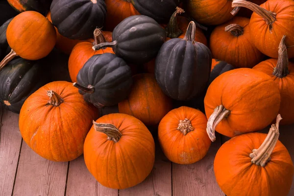 Skörda Pumpor Bakgrund Hösten Färger Orange Säsong För Halloween Thanksgiving — Stockfoto