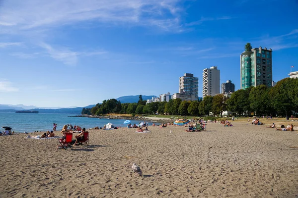 İngiliz Körfezi Sahili Sahili. Gün batımı, insanlar şehir merkezindeki plajda dinleniyor. Tatil gezisi sporu
