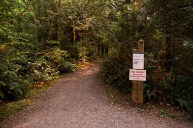 Walking path with dangerous sign in forest. Sunset in wood 