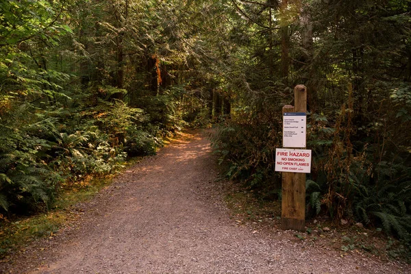 Walking path with dangerous sign in forest. Sunset in wood 