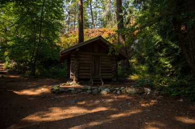 Ormandaki ahşap kulübe. Eski ev, pansiyon, ev. Güneşli bir günde orman. Kanada