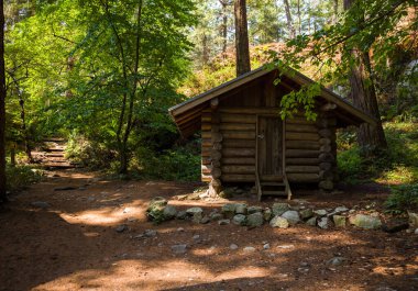Ormandaki ahşap kulübe. Eski ev, pansiyon, ev. Güneşli bir günde orman. Kanada