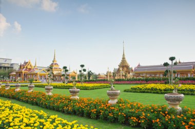 güzel royal ölü yakma yeri