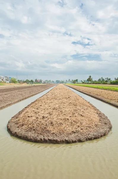 Soil preparation land for vegetable cultivation — Stock Photo, Image