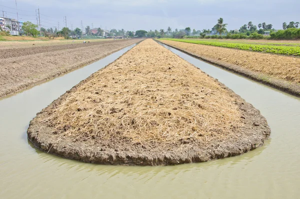 Soil preparation land for vegetable cultivation — Stock Photo, Image