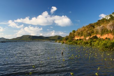 MG tb, vintage arabalar