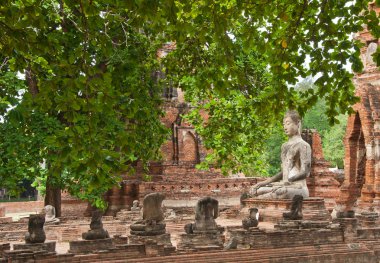 ayutthaya, harap tapınak büyük antik Buda heykeli