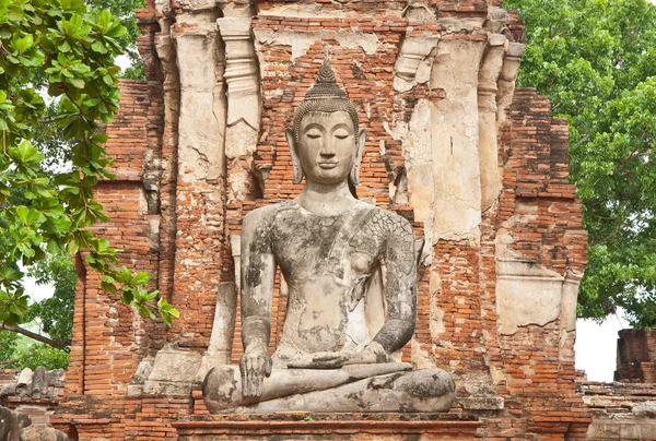 Ayutthaya tarihsel Park'ta büyük antik Buda heykeli — Stok fotoğraf