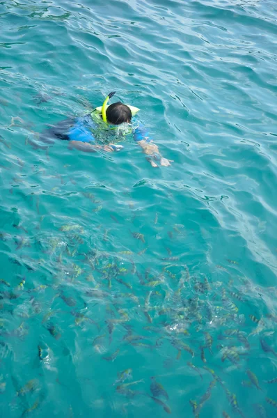 El snorkeling del viajero toma la foto en el océano limpio — Foto de Stock