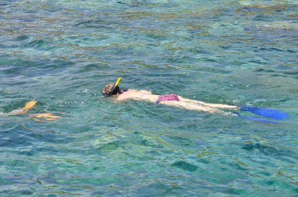 Woman snorkeling in clean ocean