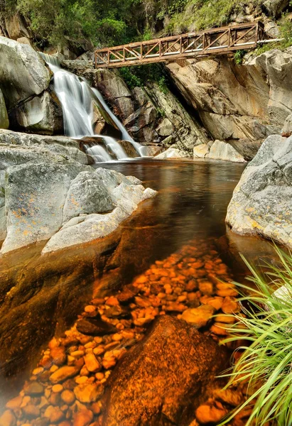 Cascade en pleine nature — Photo