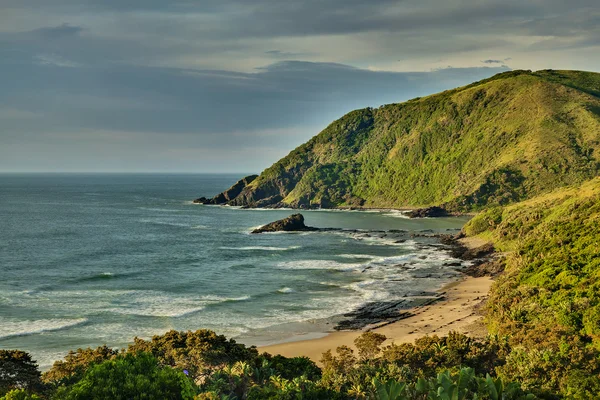 siyah kaya - salika yaban hayatı ayırmak, port st johns, eastern cape, Güney Afrika