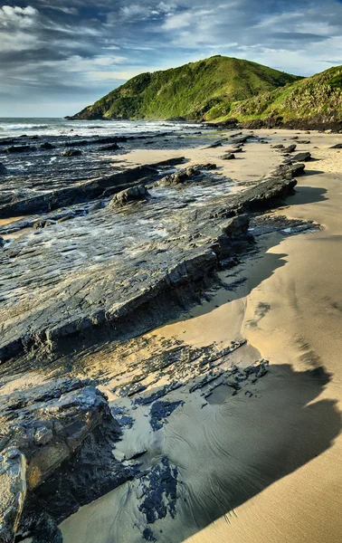 siyah kaya - salika yaban hayatı ayırmak, port st johns, eastern cape, Güney Afrika