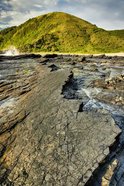 siyah kaya - salika yaban hayatı ayırmak, port st johns, eastern cape, Güney Afrika