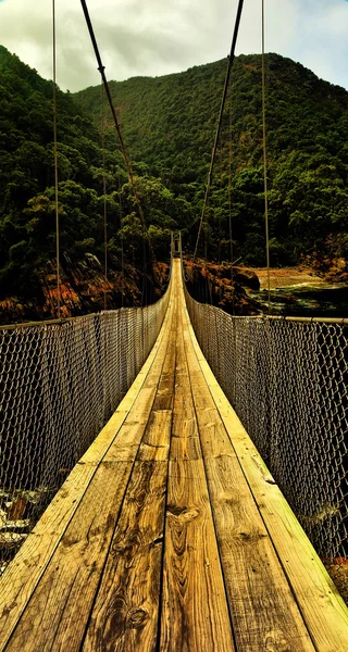 Tsitsikamma bridge — Stock Photo, Image