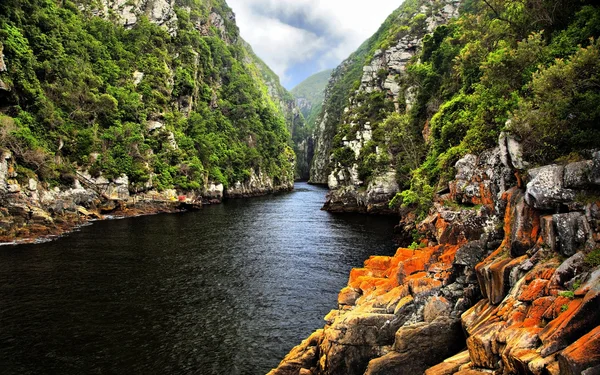 Storms River - Tsitsikamma National Park — Stock Photo, Image