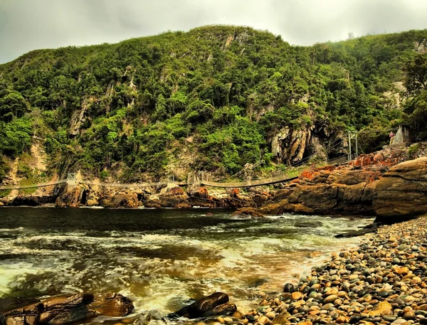 Rivière - Parc national de Tsitsikamma — Photo