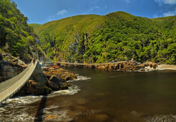 Mosty - tsitsikamma national park — Zdjęcie stockowe