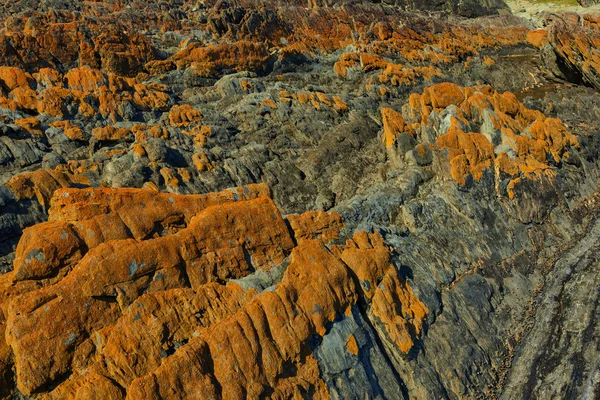 オレンジ色の被覆岩 — ストック写真