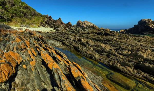 Rocce della spiaggia - Tsitsikamma — Foto Stock