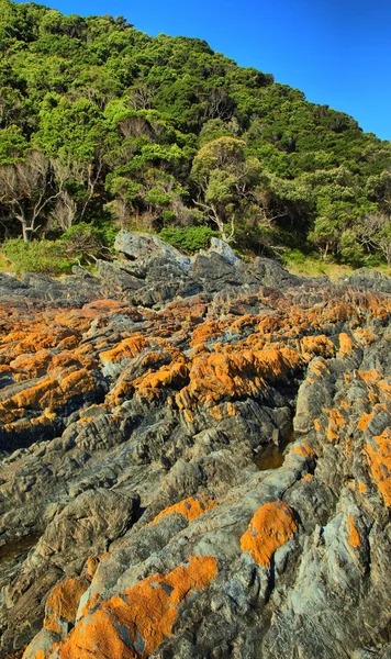 Sharp rocks -Tsitsikamma — Stock Photo, Image