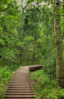 Yönetim Kurulu walk - doğa'nın Vadisi