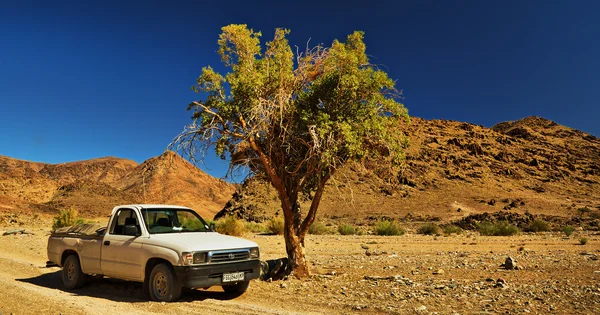 Richtersveld 丰田 hilux — 图库照片