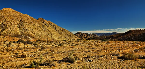 Richtersveld —  Fotos de Stock