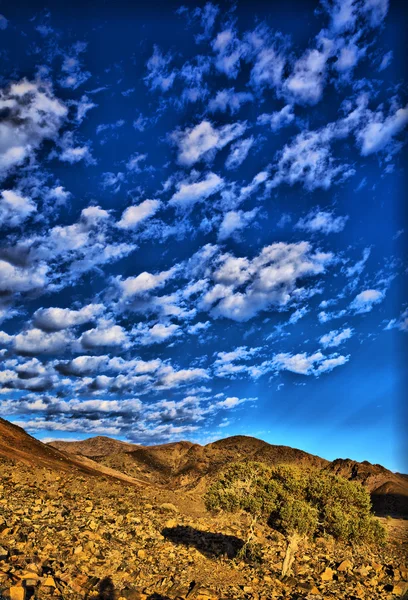 Richtersveld — Stok fotoğraf