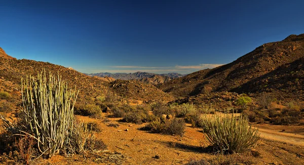 Richtersveld - Stok İmaj