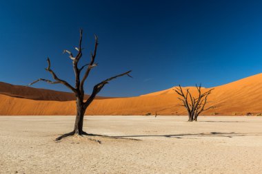Sossusvlei deadvlei Namibya