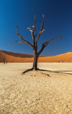 Sossusvlei deadvlei Namibya
