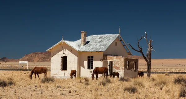 Casa abandonada para cavalos — Fotografia de Stock