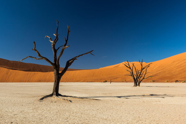 Sossusvlei Deadvlei Namibia