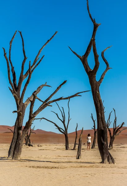 Sossusvlei Deadvlei Namibia — Stock Photo, Image
