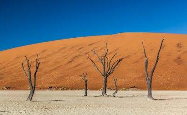 Sossusvlei deadvlei Namibya